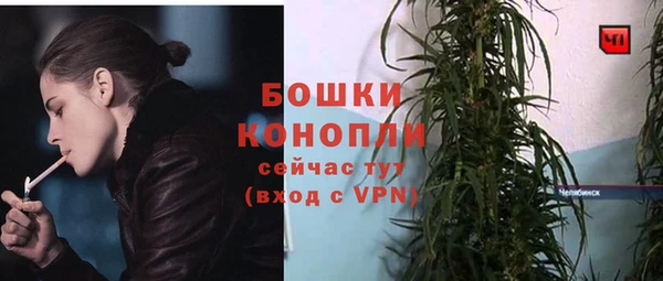 MDMA Новодвинск