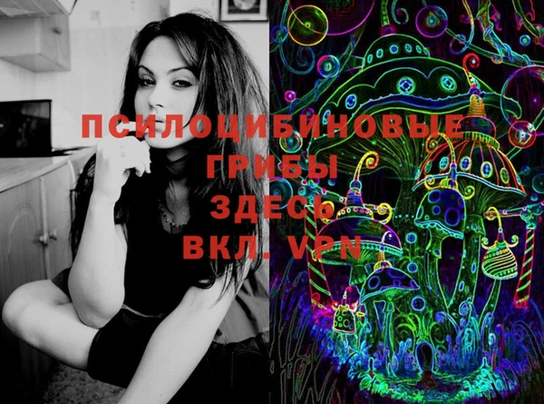 прущий лед Новозыбков
