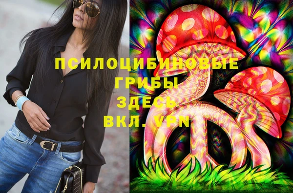 прущий лед Новозыбков