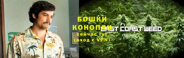 прущий лед Новозыбков