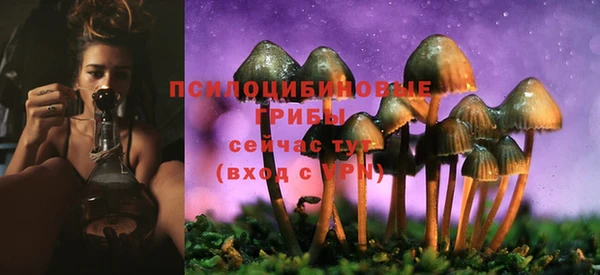 ALPHA-PVP Няндома
