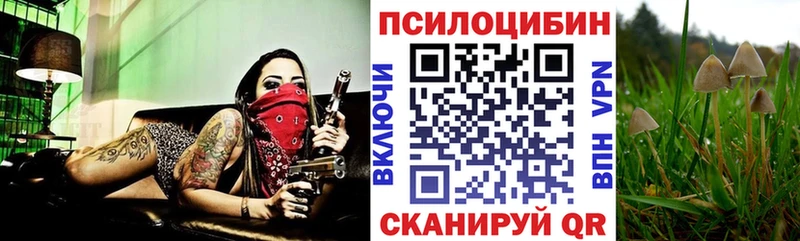 продажа наркотиков Петровск-Забайкальский мориарти официальный сайт Галлюциногенные грибы MAGIC MUSHROOMS