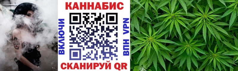 MEGA как войти  Петровск-Забайкальский  Канабис ГИДРОПОН 